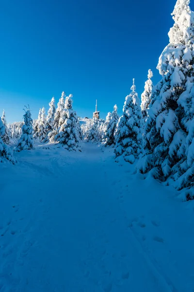 Lysa Hora Hill Winter Moravskoslezske Beskydy Berge Der Tschechischen Republik — Stockfoto