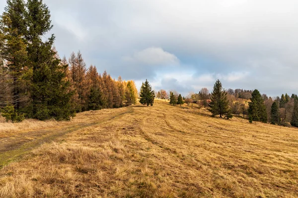 Ağaçlar Mavi Gökyüzü Ile Sonbahar Sonu Çayırı Slovakya Nın Javorniky — Stok fotoğraf
