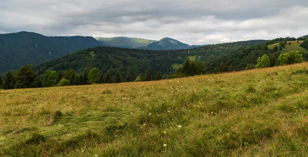 Velka Fatra Dağları Ile Suchy Vrch Ostredok Tepeleri Slovakya Vysna — Stok fotoğraf