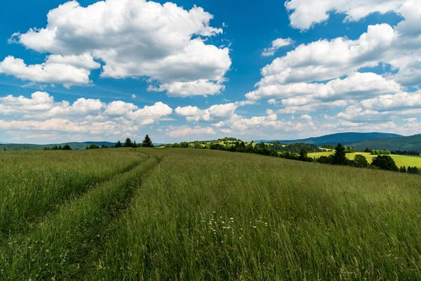 Beautiful rolling landscape with smaller hills covered by meadows with few trees and few buildings, higher forested hills on the background and blue sky with clouds above Oravska Lesna village in Slovakia