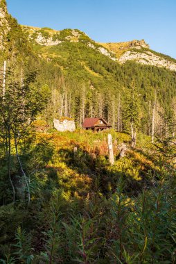 Slovakya 'daki Vysoke Tatry dağlarındaki Javorova Dolina vadisinde kısmen kayalık tepeli Chalet