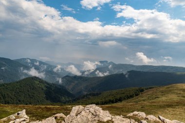 Romanya 'nın vahşi Karpat dağı, Romanya' nın Valcan dağlarındaki körüklü Muncel Tepesi manzaralı derin orman ve dağ çayırlarıyla kaplı
