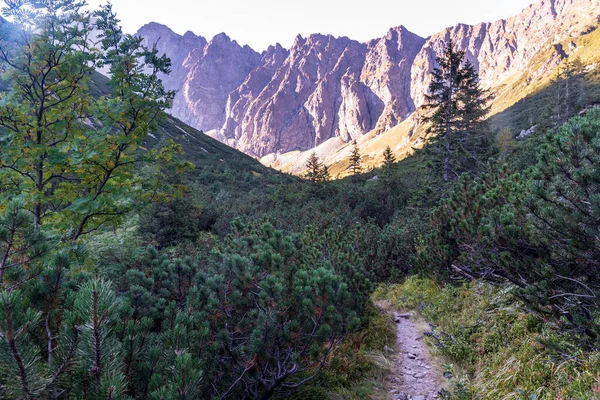 Javorova Dolina Valley Hiking Trail Peaks Vysoke Tatry Mountains Slovakia — Stockfoto