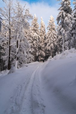 Winter mountains with snow, narrow footpath, frozen trees and blue sky with clouds -  Moravskoslezske Beskydy mountains on czech - slovakian borders