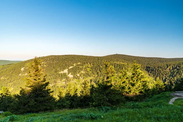 Spaleny Vrch Vozka Hills Vresova Studanka Jeseniky Mountains Morning Clear — Stock fotografie