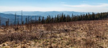 Moravskoslezske Beskydy Dağları İlkbahar Slezske Beskydy Dağları 'ndaki Velka Cantoryje Tepesi - Polonya sınırları