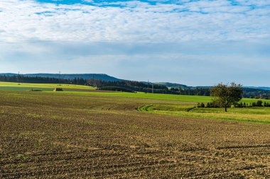 Tarlanın olduğu sonbahar kırları, ineklerin beslendiği çayırlar, izole edilmiş ağaçlar ve Çek Cumhuriyeti 'nin Slavny köyünün üzerindeki arka planda daha küçük tepeler.