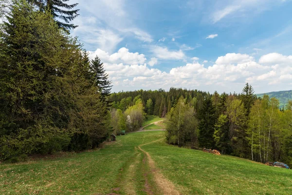 Etrafı Ağaçlarla Çevrili Bahar Mevsimi Çayırları Çek Cumhuriyeti Nin Moravskosske — Stok fotoğraf