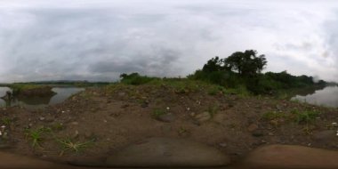 Kuş seslerini dinlemek uyumana yardımcı olabilir.