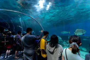 Manila Ocean Park, Metro Manila, Filipinler, 28 Kasım 2021 'de akvaryum izlemeyi seven insanlar.
