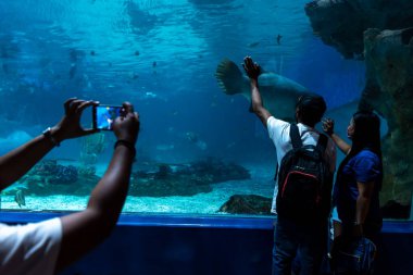 Manila Ocean Park, Metro Manila, Filipinler, 28 Kasım 2021 'de akvaryum izlemeyi seven insanlar.