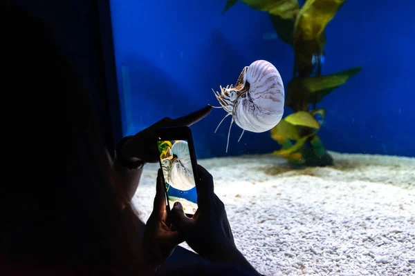 Mensen Die Graag Naar Het Aquarium Kijken Manila Ocean Park — Stockfoto