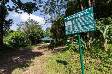 Angono Binangonan Petroglyphs Rizal Eyaleti Bölge Müzesi, Filipinler