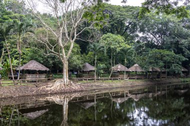 Quiet and peaceful La Mesa ECP park at Quezon city, Philippines