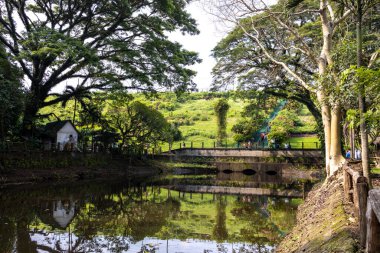 Quiet and peaceful La Mesa ECP park at Quezon city, Philippines