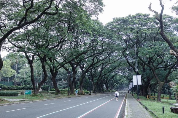 Ekim 2002 Hafta Sonu Için Ziyaret Edenler Filipinler Diliman Üniversitesi — Stok fotoğraf