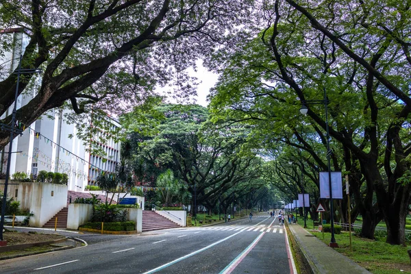 Ekim 2002 Hafta Sonu Için Ziyaret Edenler Filipinler Diliman Üniversitesi — Stok fotoğraf