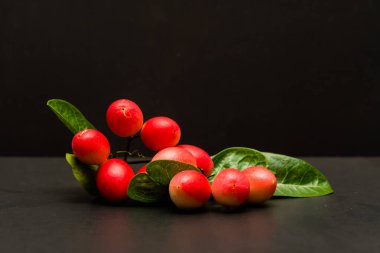 Limon meyvesini yuhalayan mango ağacı. Tıbbi özellikleri olan meyveler. izole edilmiş. Siyah arka planda esneme ve limon yuhalaması..