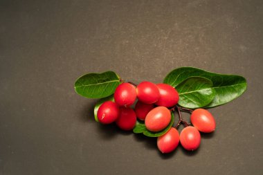 Limon meyvesini yuhalayan mango ağacı. Tıbbi özellikleri olan meyveler. izole edilmiş. Siyah arka planda esneme ve limon yuhalaması..