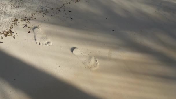 Footage Sea Waves Wahing Footprints Golden Sand Beach Footmarks Sand — ストック動画