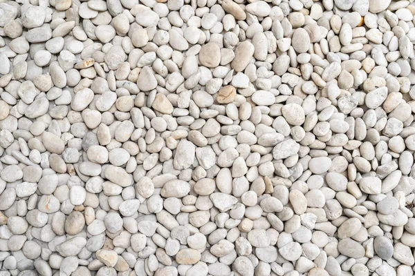 White pebble stone texture on the ground. The pebbles closely stone texture features