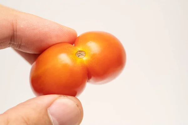 Tomaat Tweeling Geïsoleerd Witte Achtergrond — Stockfoto