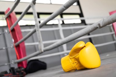 yellow boxing gloves in Gym Fitness. 