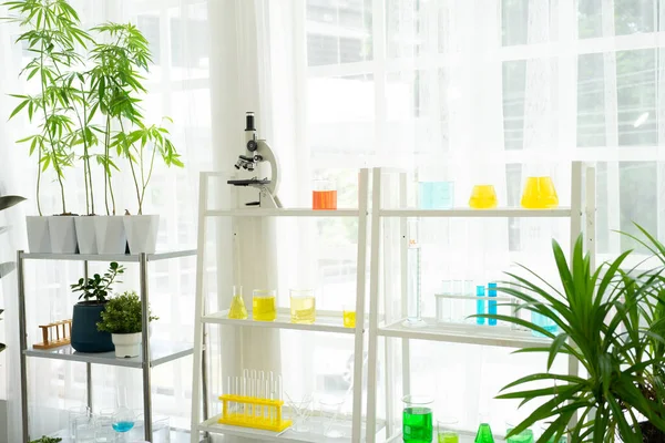 Modern Plant Research Laboratory with Microscope and Test Tubes . Scientific Lab Biotechnology Development CenterClassroom for biology learning.