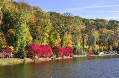 Parktaki güzel göl manzarası