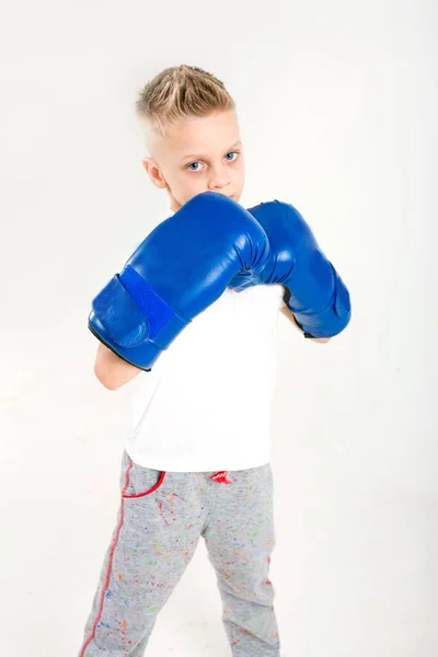 Young Boy Boxing Gloves — Zdjęcie stockowe