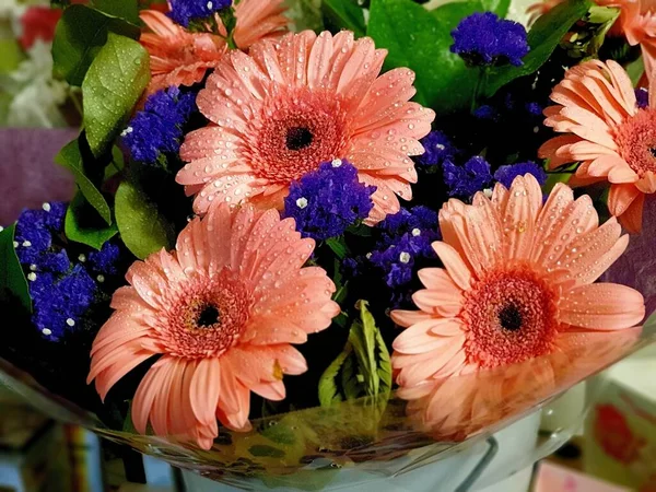 Piękny Bukiet Kolorowych Kwiatów Wazonie — Zdjęcie stockowe