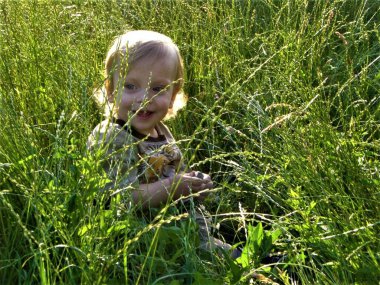 cute little boy sits in the grass in a summer field and looks at the sun