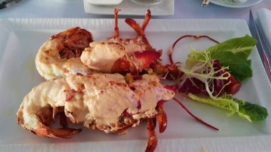 Soslu ıstakoz aşısı.