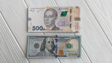 Para fotoğrafları Ukrayna Hryvnia ve ABD doları