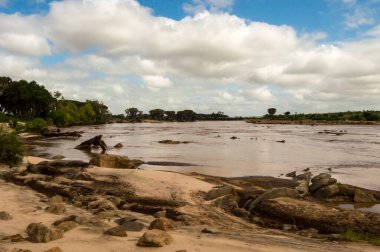 Kenya 'daki Tsavo Doğu Parkı' ndan geçen Galana Nehri manzarası