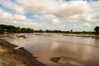 Kenya 'daki Tsavo Doğu Parkı' ndan geçen Galana Nehri manzarası