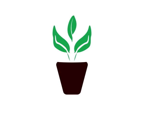 Leaf Green Plant Vector Graphic Design Template Pot — Stockový vektor
