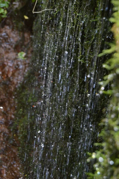 Капли Воды Траву — стоковое фото