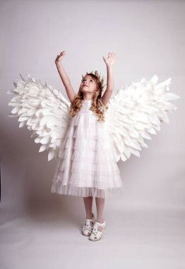 Melek kanatlı güzel bir bayan. Stüdyodan izole edilmiş.