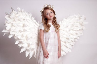 Melek kanatlı güzel bir bayan. Stüdyodan izole edilmiş.