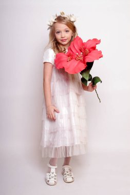 Melek kanatlı güzel bir bayan. Stüdyodan izole edilmiş.