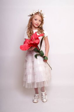 Melek kanatlı güzel bir bayan. Stüdyodan izole edilmiş.