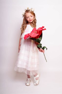 Melek kanatlı güzel bir bayan. Stüdyodan izole edilmiş.