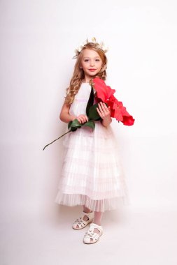 Melek kanatlı güzel bir bayan. Stüdyodan izole edilmiş.