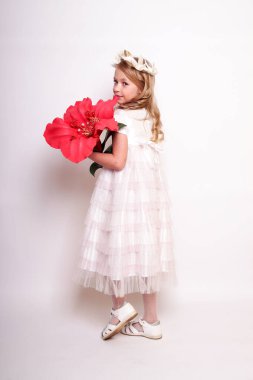 Melek kanatlı güzel bir bayan. Stüdyodan izole edilmiş.