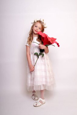 Melek kanatlı güzel bir bayan. Stüdyodan izole edilmiş.