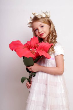 Melek kanatlı güzel bir bayan. Stüdyodan izole edilmiş.