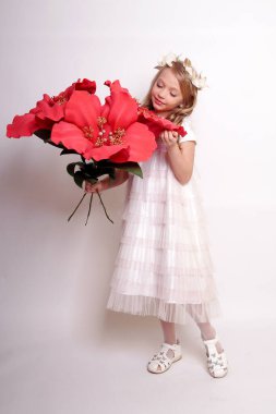 Melek kanatlı güzel bir bayan. Stüdyodan izole edilmiş.