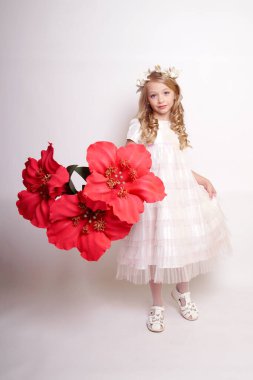 Melek kanatlı güzel bir bayan. Stüdyodan izole edilmiş.