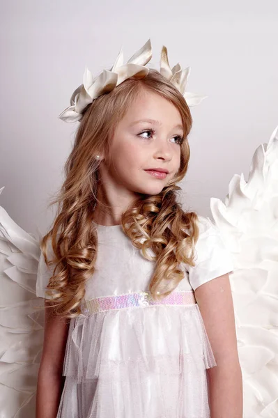 Melek kanatlı güzel bir bayan. Stüdyodan izole edilmiş.